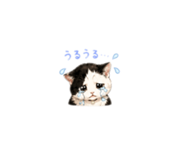 858046960