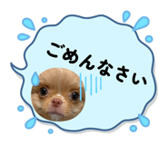 858048083