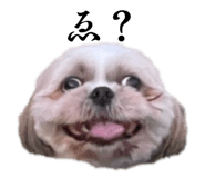 858048182
