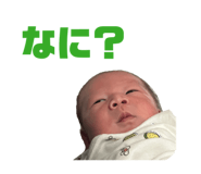 858048577