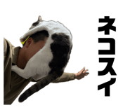 858048723