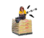 858048866