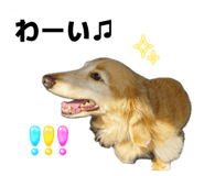858049131