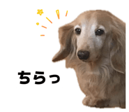 858049132