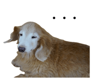858049135