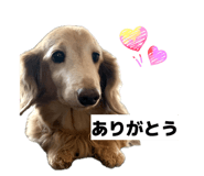 858049143