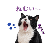 858049188