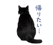 858049190