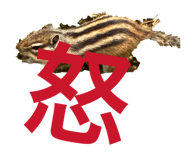 858049222