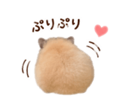 858049272