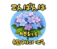 858049477
