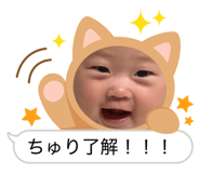 858050083