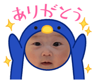 858050091