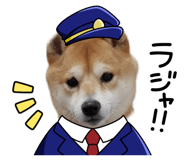 858050146