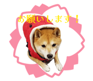 858050149