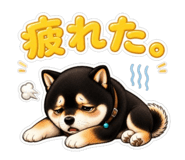 858050164