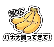 858050455