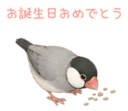858051218