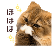 858051233