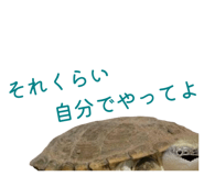 858051321