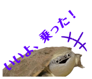 858051325