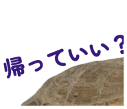 858051326