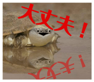 858051327