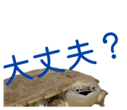 858051328