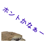 858051329