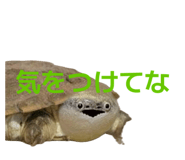 858051330