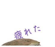 858051331
