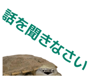 858051332
