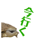 858051335