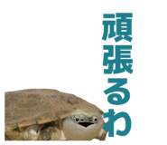 858051336