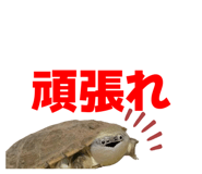 858051337