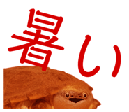 858051338