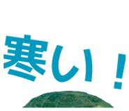 858051339