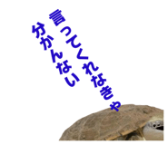 858051340