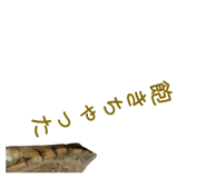 858051341