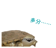 858051343