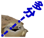 858051344