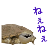 858051345