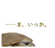 858051346