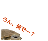 858051347