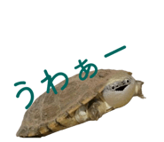 858051348