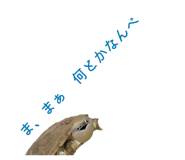 858051350