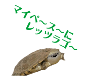 858051351