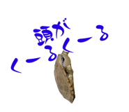 858051352