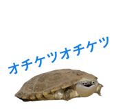 858051354