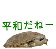 858051355